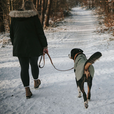 HUNDEMANTEL UPPSALA